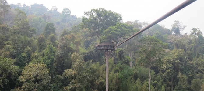 Gibbon Experience, Laos